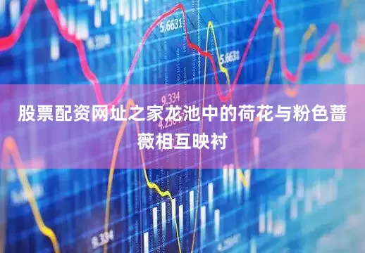 股票配资网址之家龙池中的荷花与粉色蔷薇相互映衬