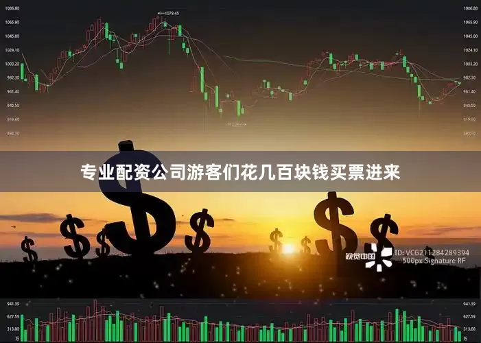 专业配资公司游客们花几百块钱买票进来