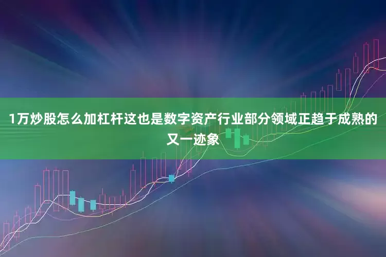 1万炒股怎么加杠杆这也是数字资产行业部分领域正趋于成熟的又一迹象